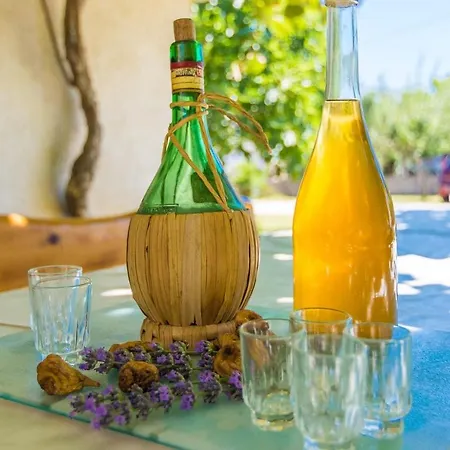 Lovely Albina - By Tourist Agency Leut
