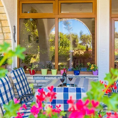 Lovely Albina - By Tourist Agency Leut