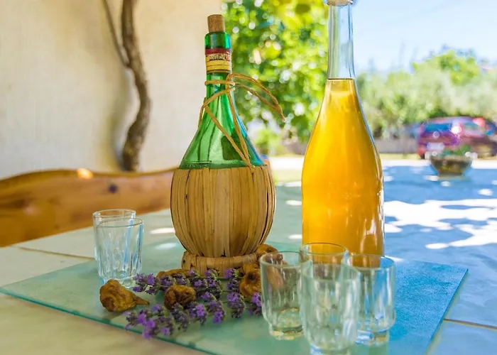 Lovely Albina - By Tourist Agency Leut